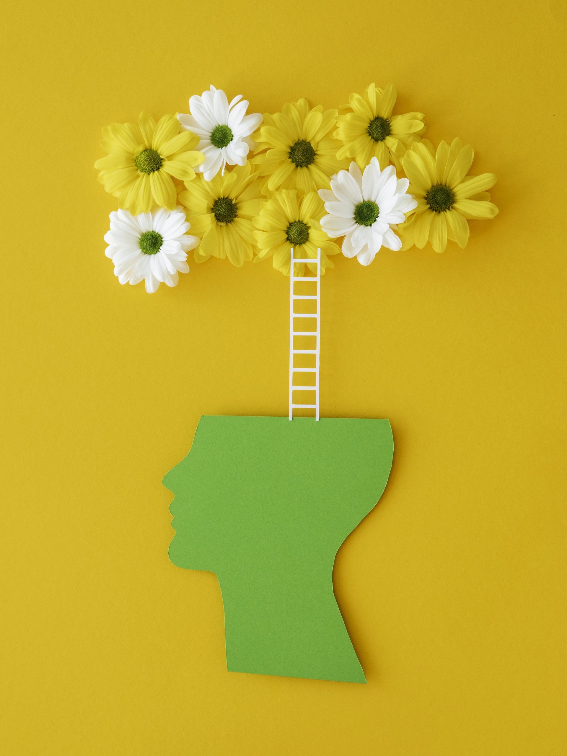 Formación en Sistema de la Familia Interna