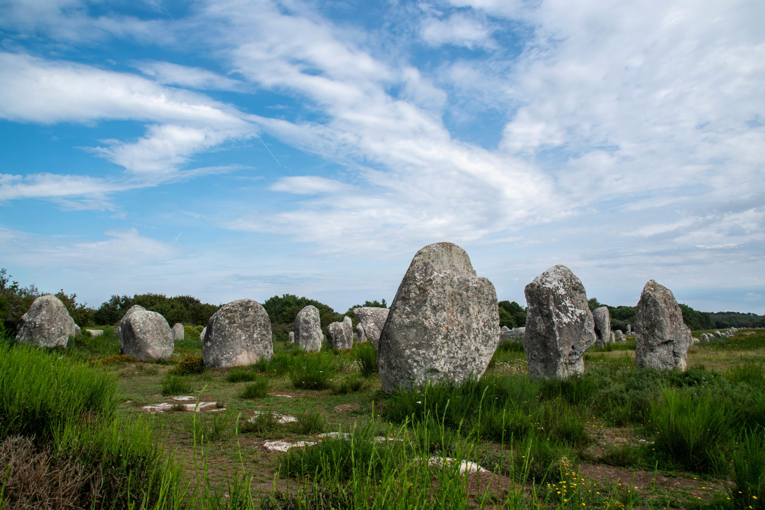 enfoque terapéutico